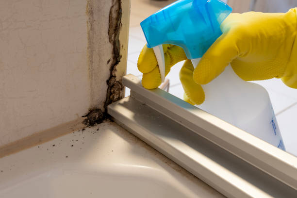 Best Mold Cleaning Services  in Chattanoo Valley, GA