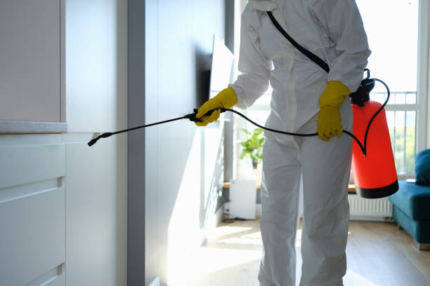 Best Residential Mold Removal  in Chattanoo Valley, GA