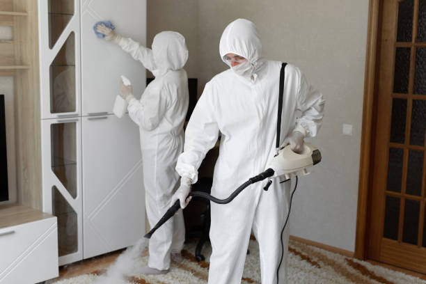 Professional Mold Removal in Chattanooga Valley, GA