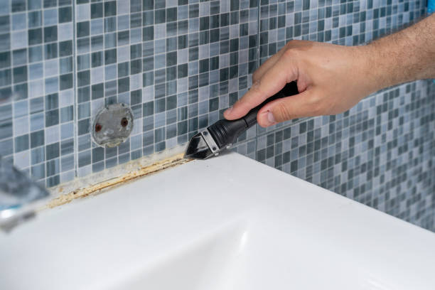 Best Home Mold Removal  in Chattanoo Valley, GA